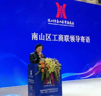 南山首個街道商會成立，匯聚業界精英，賦能企業市場開發新篇章